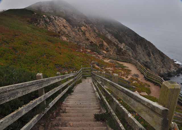 Harbor Seal overlook